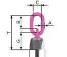 Anneau de levage articulé | VWBG-V - RUD