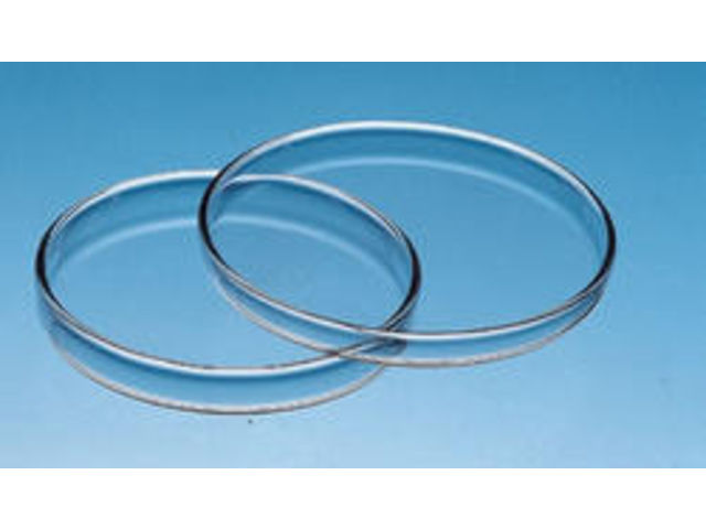 6 Boîtes De Petri Stériles NOPKESV - 70mm X 18mm - Labo Et École