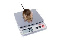 Balance compacte | 9202-9203