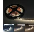 Bandeau LED 12V 5M 2835 IP20 120LED/m - Blanc Froid 6000K - 8000K