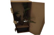 Emballage en carton ondulé e-commerce pour plantes | SAICA PACK 