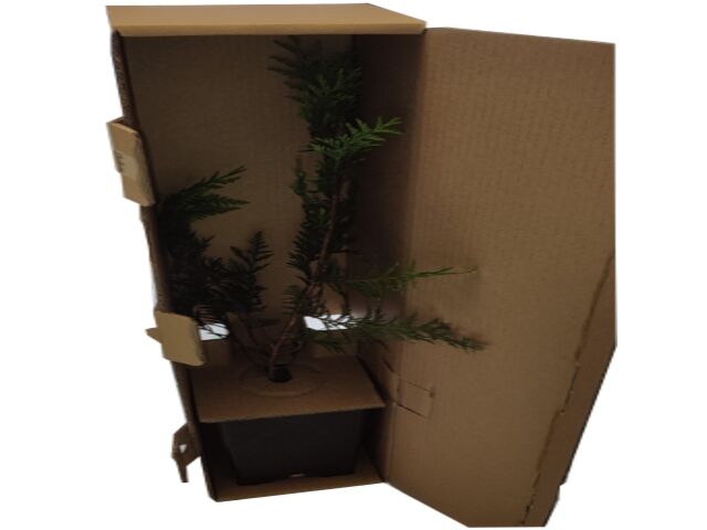 Emballage en carton ondulé e-commerce pour plantes | SAICA PACK 