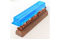 Moule à bûche demi-ronde 16 parts | NEXT Emballage