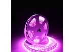 Ruban LED RGBW 12V 5M 5050 IP20 60LED/m