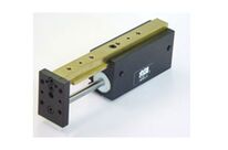 Feed Escapement | AGMS-2-1
