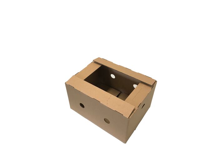 Caisse pour blisters truites en carton ondulé 