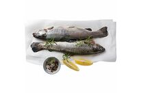 Papier ingraissable spécial poisson - EN FORMAT PAQUET DE 10KG 32 x 50 cm