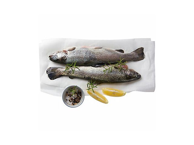 Papier ingraissable spécial poisson - EN FORMAT PAQUET DE 10KG 32 x 50 cm