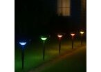 Lampe de Jardin Solaire à Piquet RGB IP65 90lm (lot de 2)