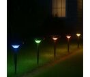 Lampe de Jardin Solaire à Piquet RGB IP65 90lm (lot de 2)