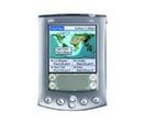 Ordinateur de poche : Palm m515