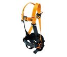 Harnais antichute - 2 points d'attache, avec ceinture de maintien au travail