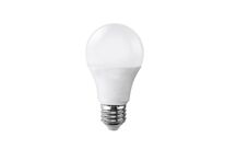 Ampoule E27 LED 15W 220V A65 - Blanc Froid 6000K - 8000K