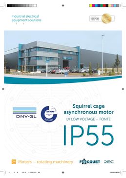 Moteurs ou génératrices électriques asynchrones triphasés IP55 Basse tension