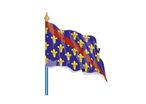 Drapeau provincial - Bourbonnais