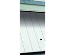 Porte de garage basculante double N500