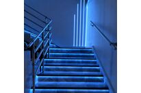 Ruban LED COB 5M 24V IP20 320LED/m - Bleu