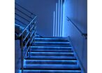 Ruban LED COB 5M 24V IP20 320LED/m - Bleu
