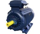 Moteurs asynchrones à cage fonte IP55