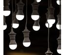 Éclairage LED économique E27 | Ampoule LED A60 E27 A60-C-2,9W - LED Light Project