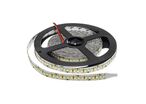 Ruban LED 12V 5M 2835 IP20 204LED/m - Blanc Froid 6000K - 8000K