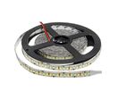 Ruban LED 12V 5M 2835 IP20 204LED/m - Blanc Froid 6000K - 8000K