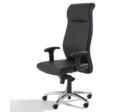 Fauteuil de bureau ROMA II cuir