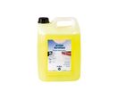 NETTOYANT SOLS SPECIAUX GRES MARBRE GRANIT 5L ECOLOGIQUE BACTERICIDE EFFICACE PEU MOUSSANT