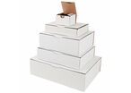 Boîte postale carton blanc - 150 x 150 x 60 mm