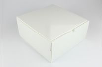 Boîte alimentaire isotherme 260 x 260 x 120 mm