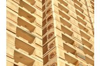 FOURNISSEUR DE PALETTE EN BOIS