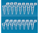 Barrettes de 8 tubes PCR avec bouchons individuels, PP, autoclavables