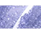 PVC Compounds | SNETOR FRANCE