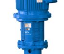 Pompe centrifuge à hydraulique immergée | Johnson Pump Combiwell 