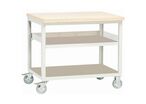 Kind - Servante d'atelier mobile 2 tablettes - 100x75x85 cm - Charge 250 kg - Plateau multiplis