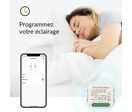 Module Variateur TRIAC - Wifi