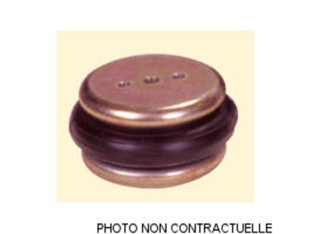 VERIN SOUPLE SERIE F 257451-FL-A-R-1/4-B110