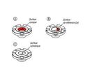 Douilles pour broche pneumatique | 03161-03