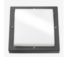 Applique BASSI graphite 10W LED TWILIGHT - Réf 623188