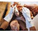 Gant nitrile Ultrafood 497