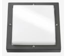 Applique d'extérieur BASSI GRAPHITE 10W LED 3000K - Réf 623187                 