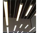 Réglette LED 120cm 30W Haut Rendement 155lm/W Garantie 5 ans - Blanc Froid 6000K - 8000K