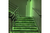 Ruban LED COB 5M 24V IP20 320LED/m - Vert