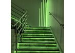 Ruban LED COB 5M 24V IP20 320LED/m - Vert