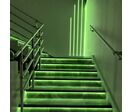 Ruban LED COB 5M 24V IP20 320LED/m - Vert