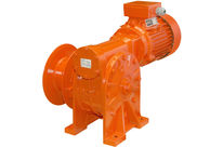 Treuil électrique à vis sans fin : EWL