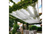 Filet anti-feuilles et salissures standard 6x4m