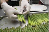 Vêtements de travail