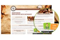 Solution de  Chat professionnel