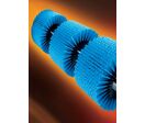 Brosses cylindriques Mink